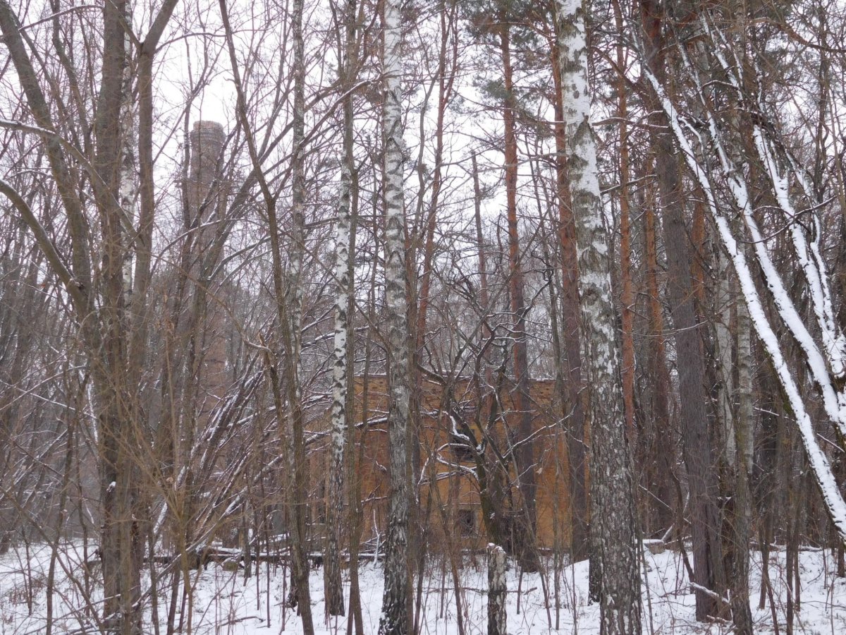 Kotelna. Nebo krematorium.