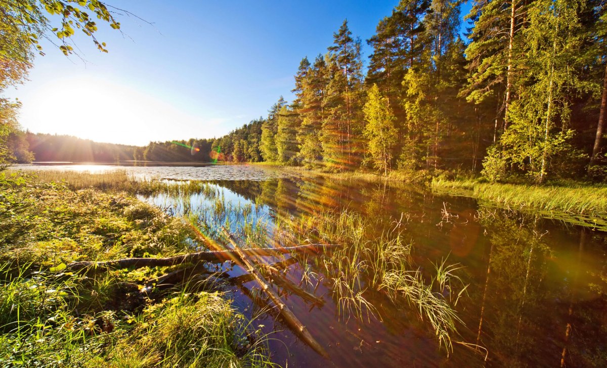 Finské jezero