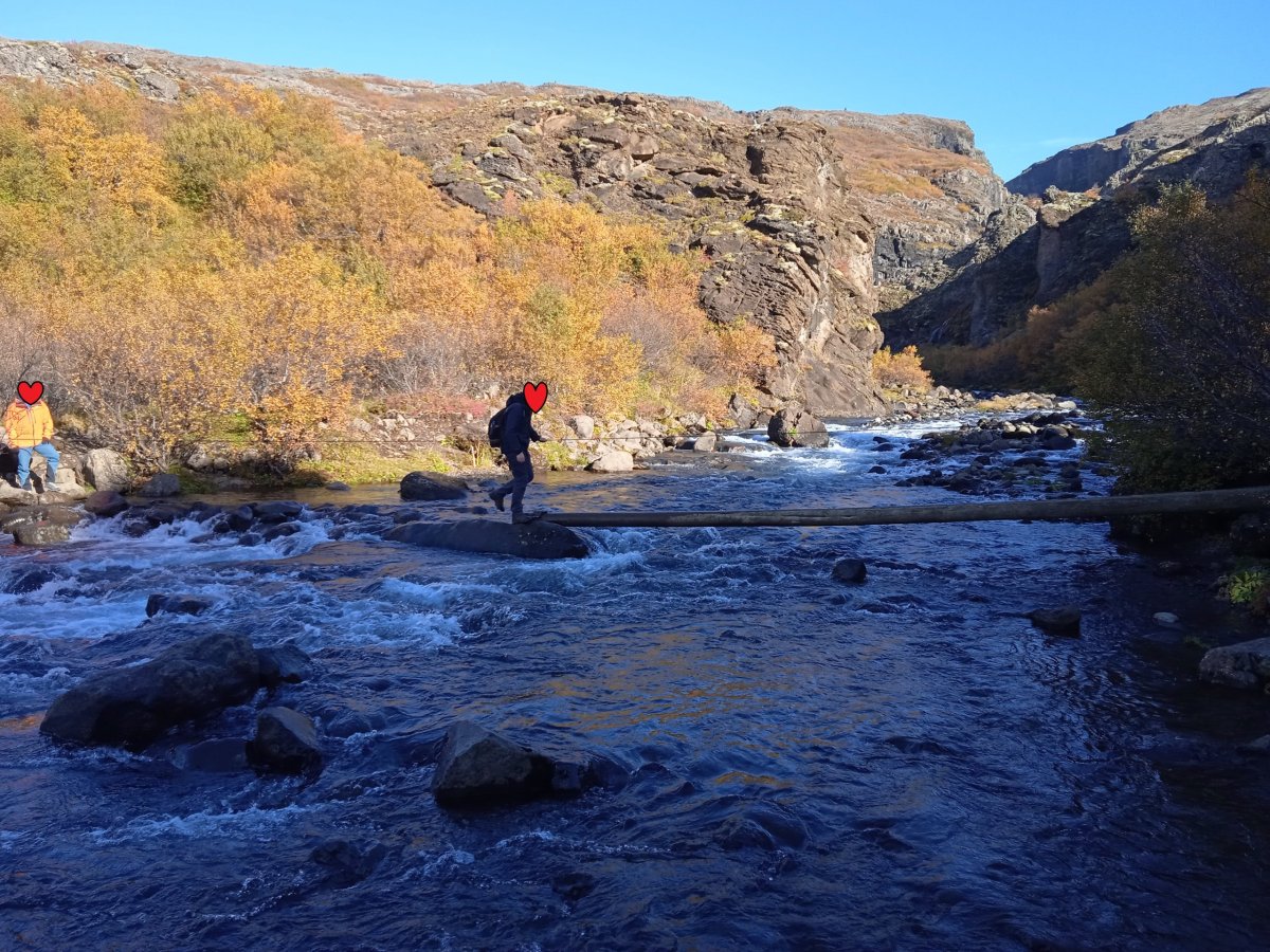 poz.3