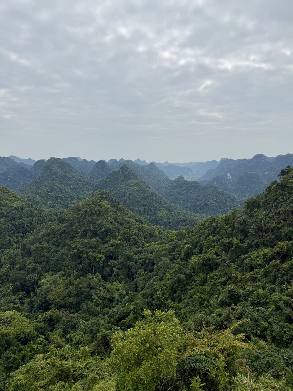 Národní park Cat Ba