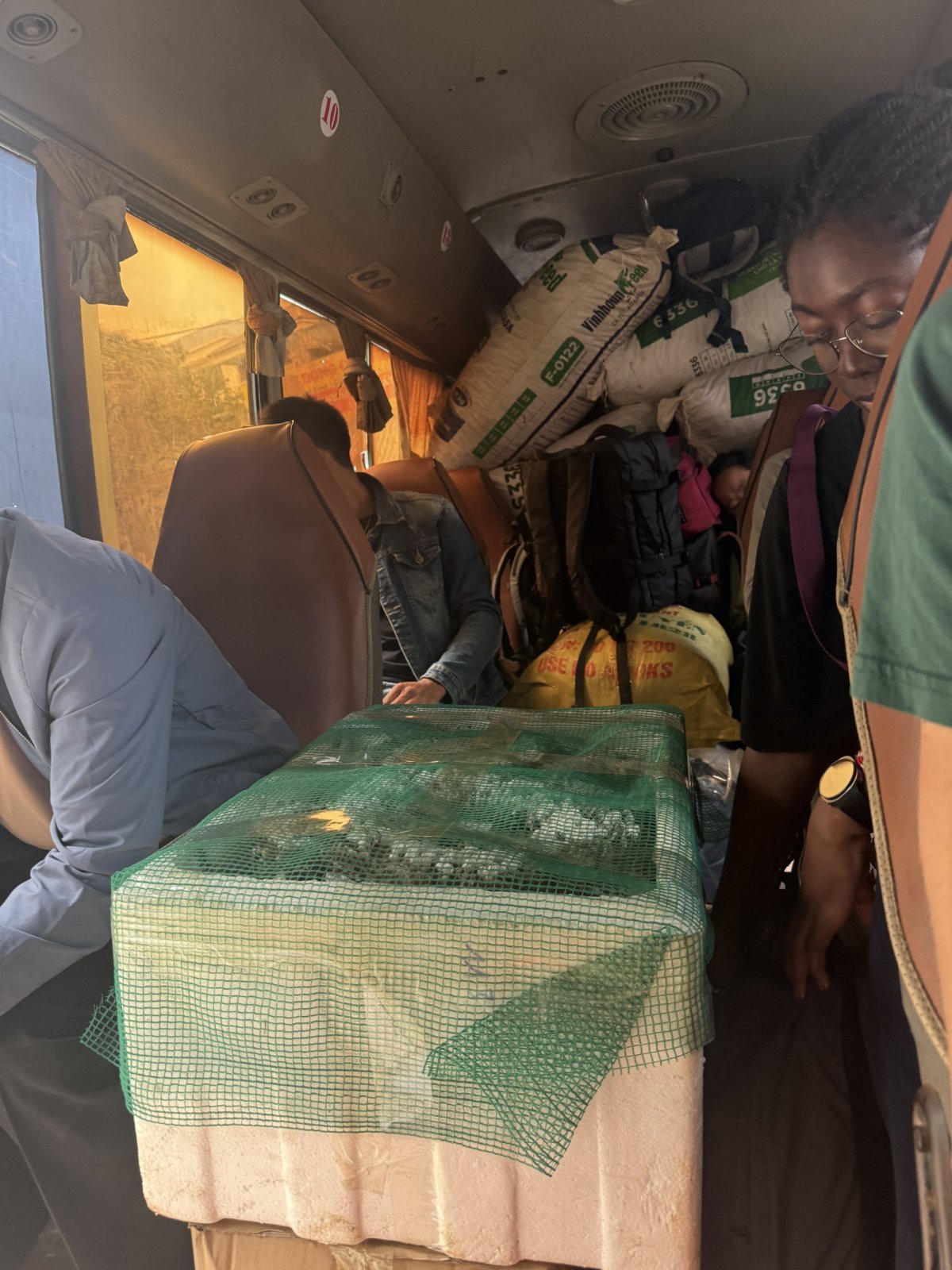 Krabice s brouky a udivený výraz turistky z Francie