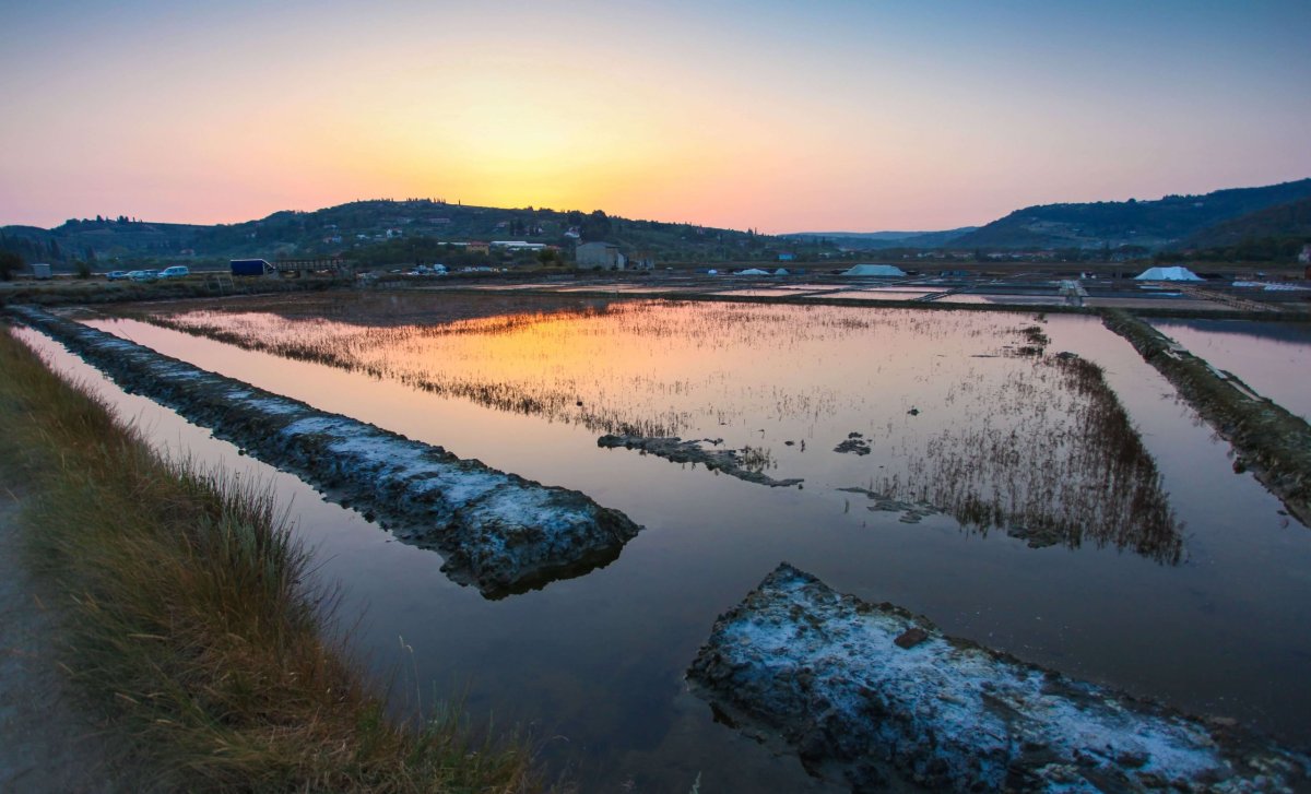 Piranské saline