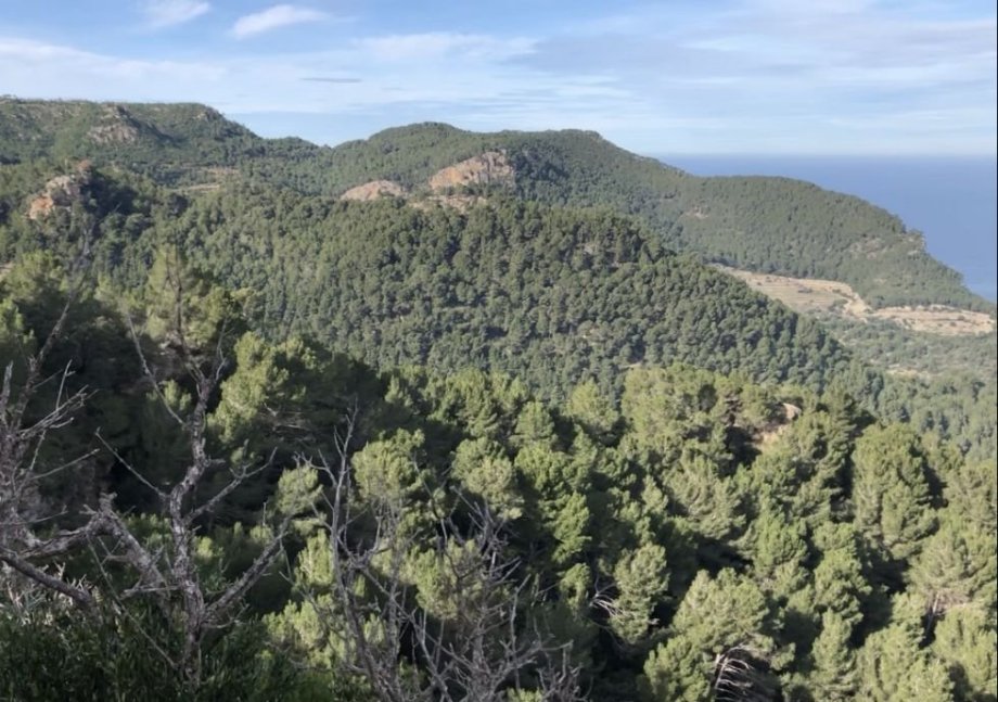Slunce se pomalu dralo nahoru