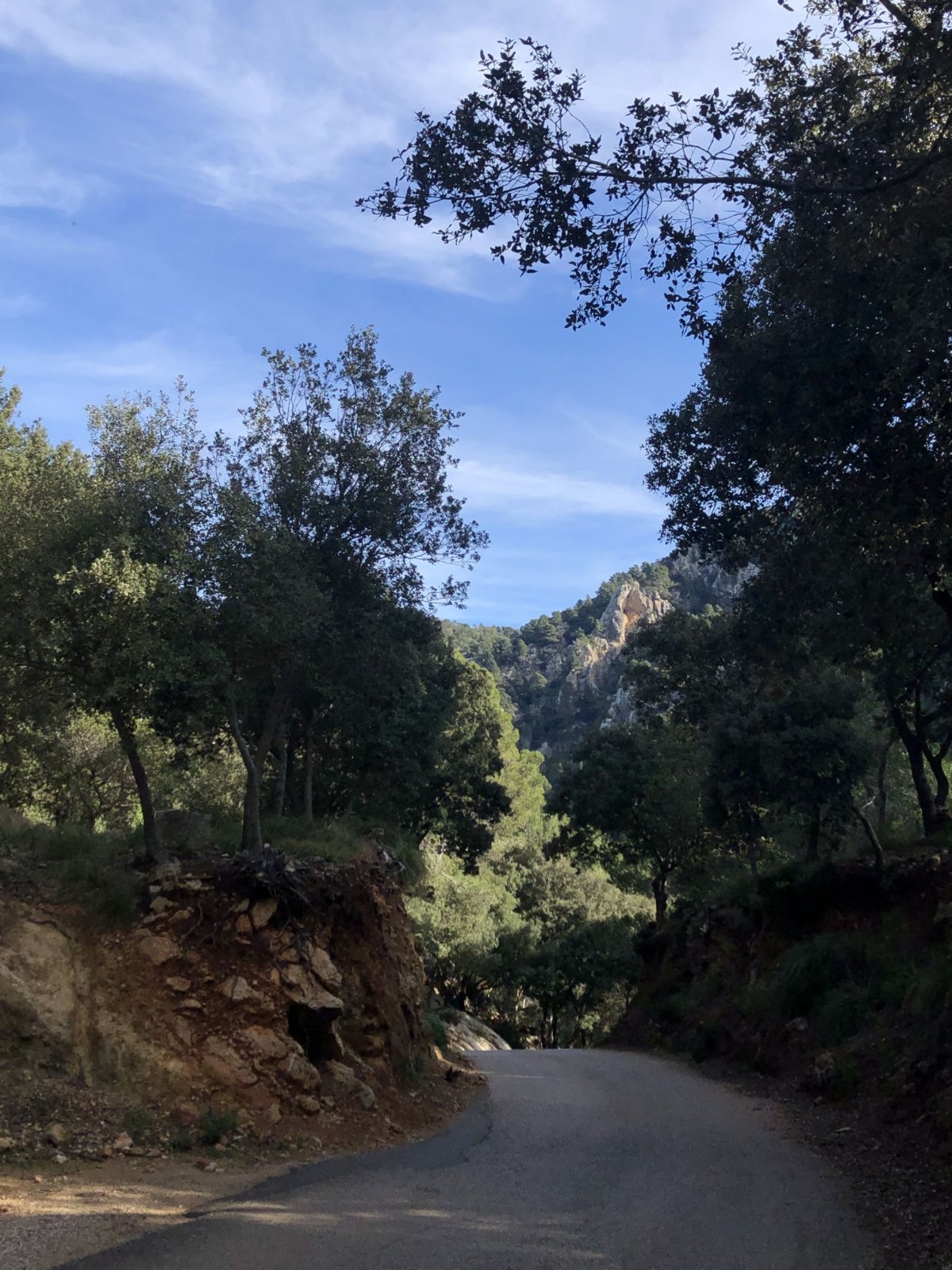 Člověk se jen usmívá:)