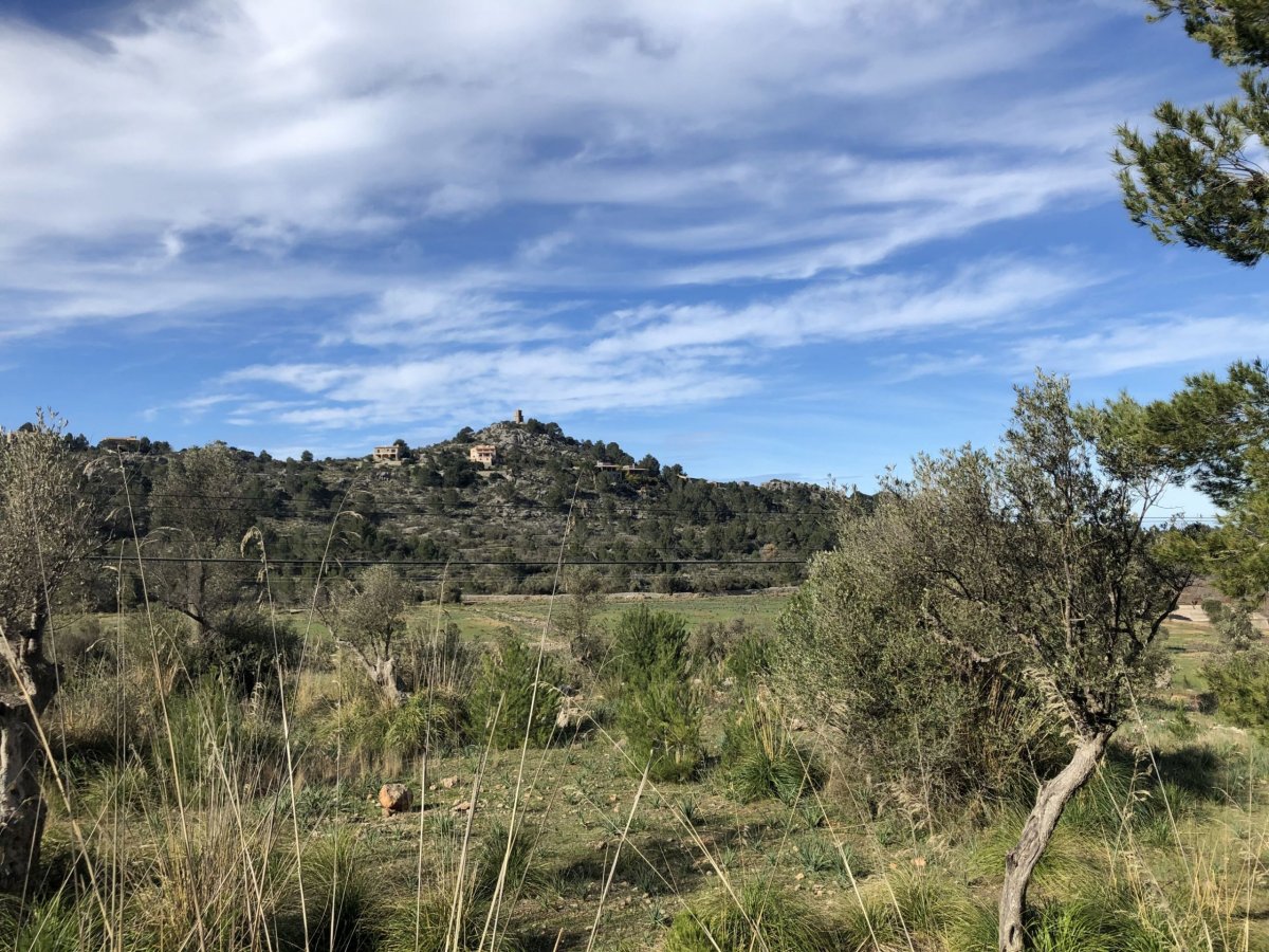 A slunce pomalu začlo hřát