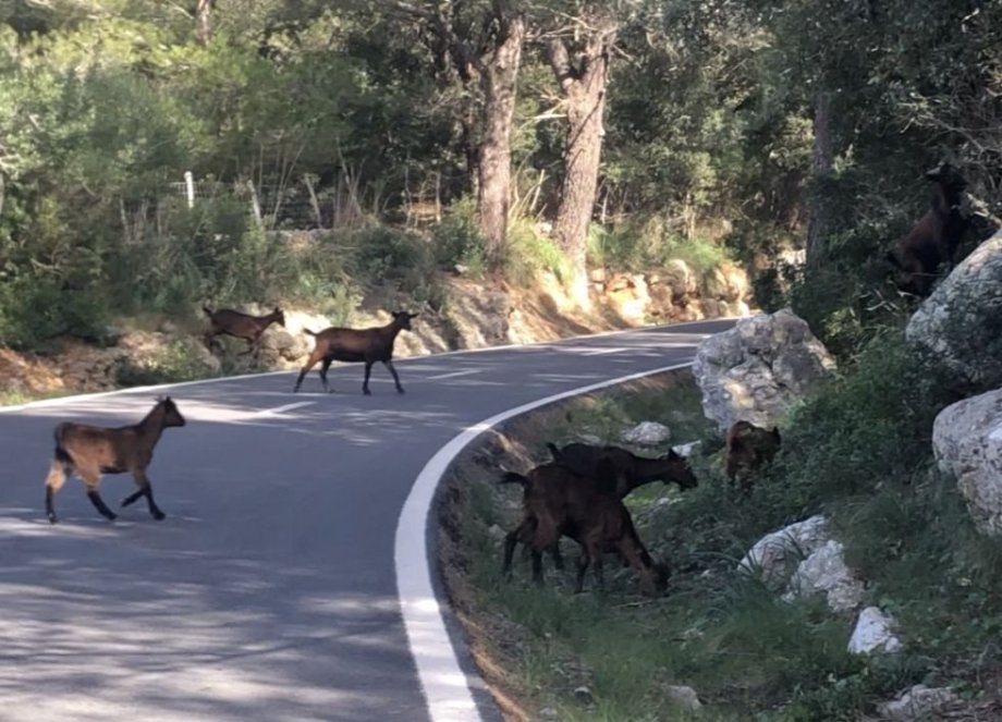 Každou chvíli změna:)