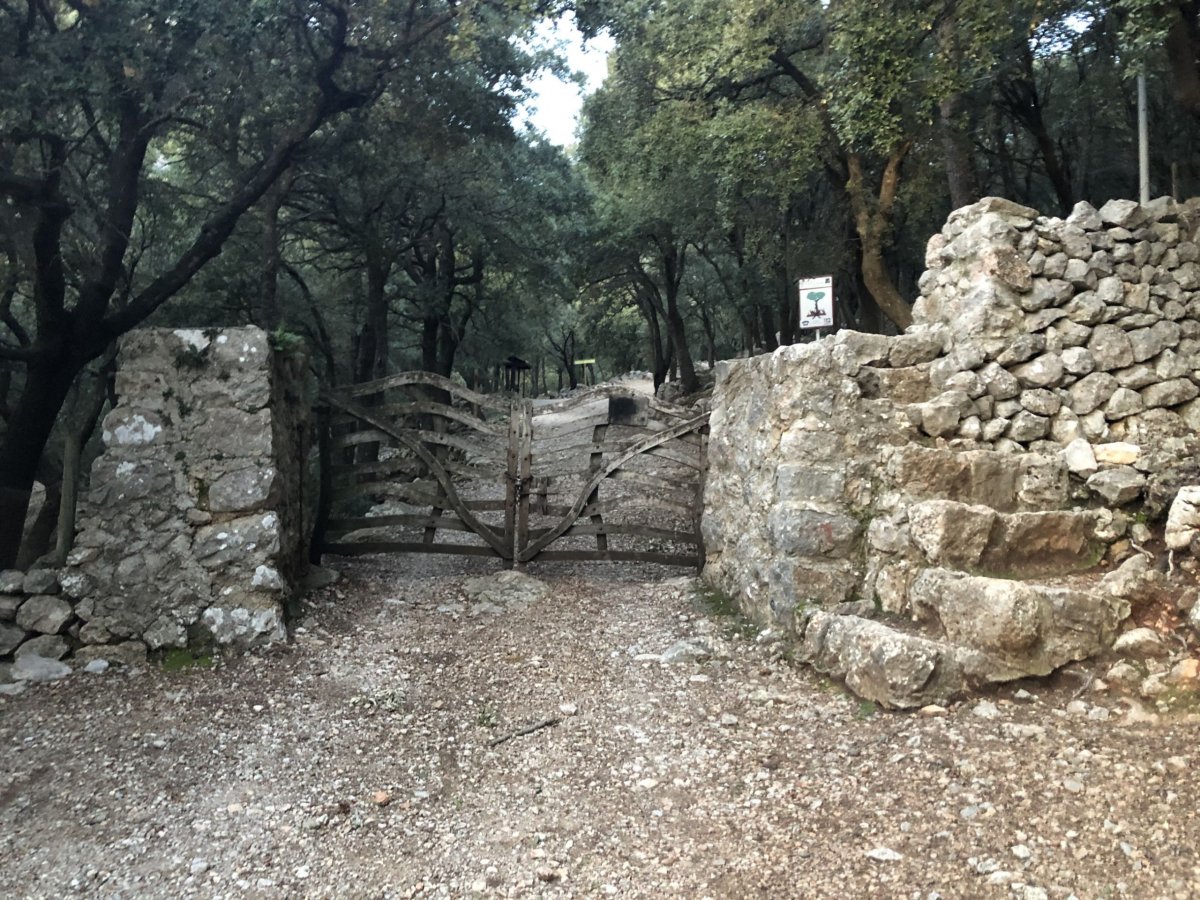 Račte po schodech, gate is closed:)