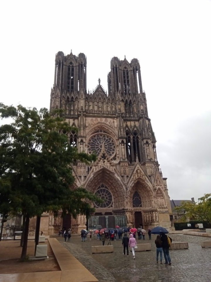 Katedrála Notre-Dame v deštivém počasí.