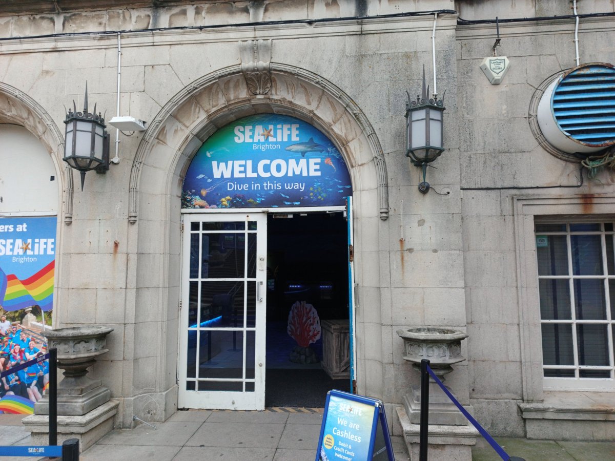 Vstup do Sea Life Brighton.