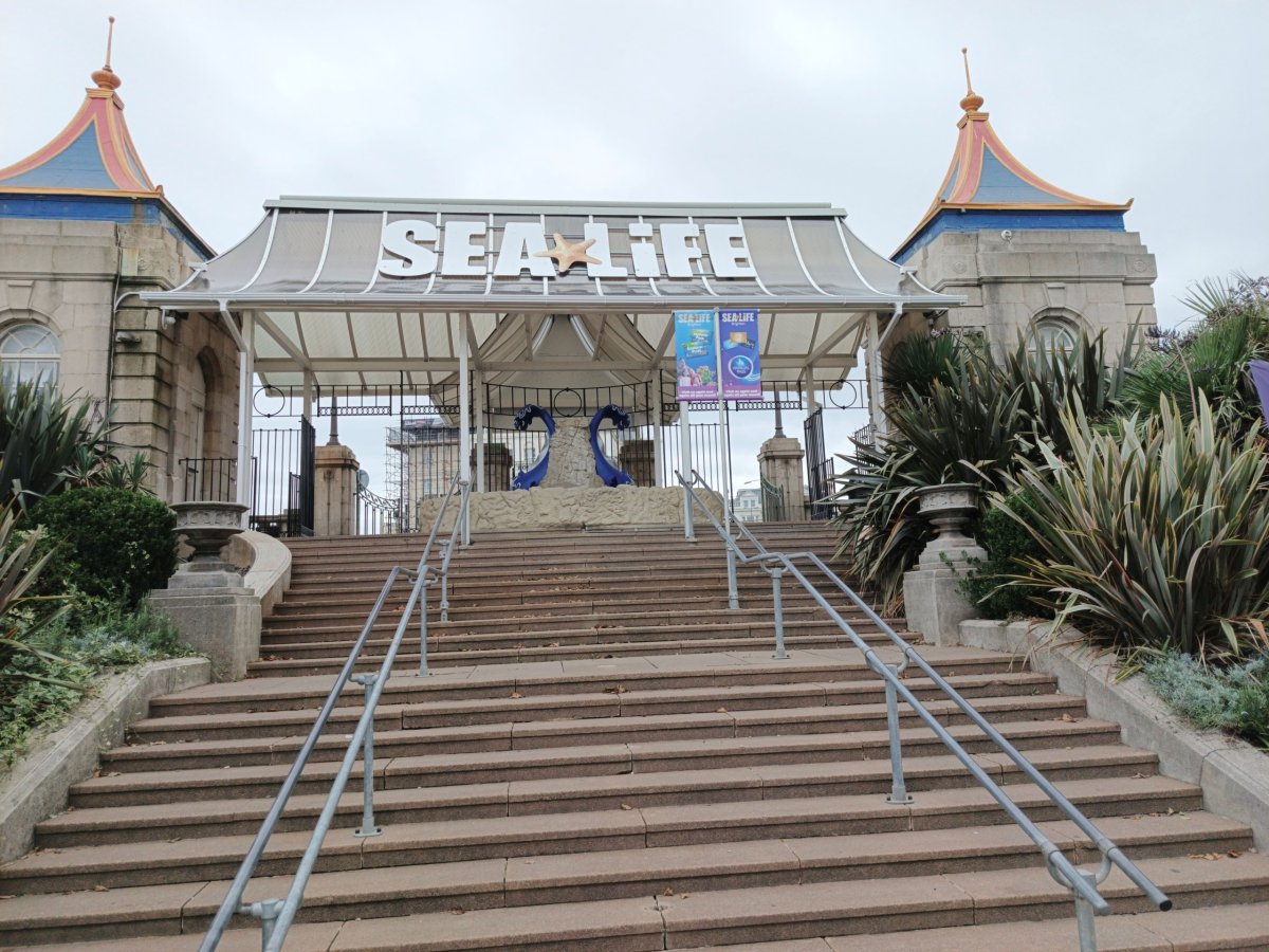 Sea Life Brighton.