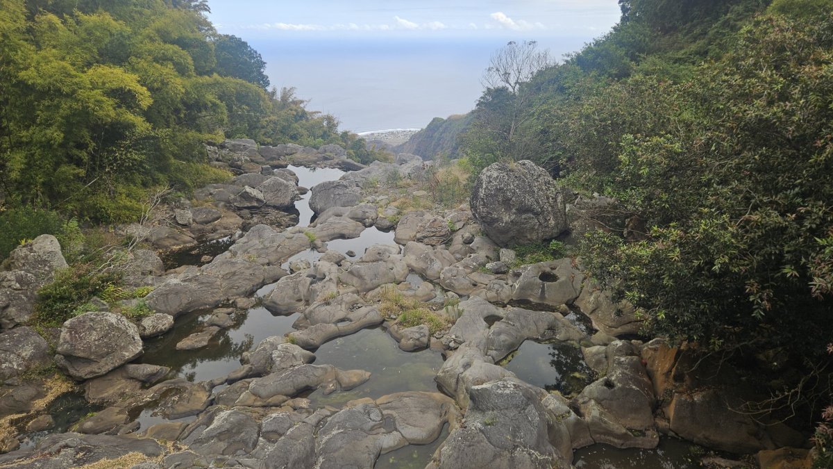Typická ravina