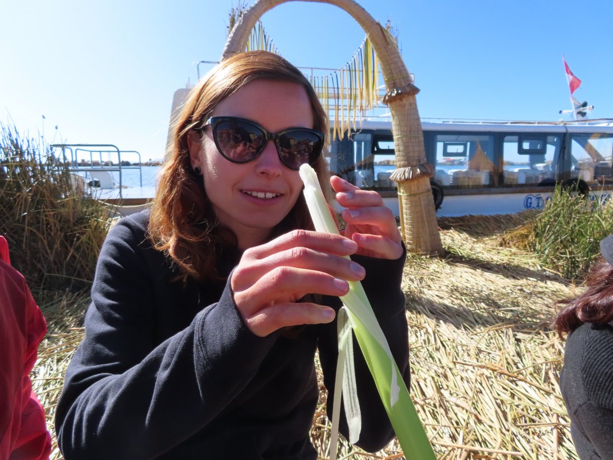 Ochutnávka "rákosu" 