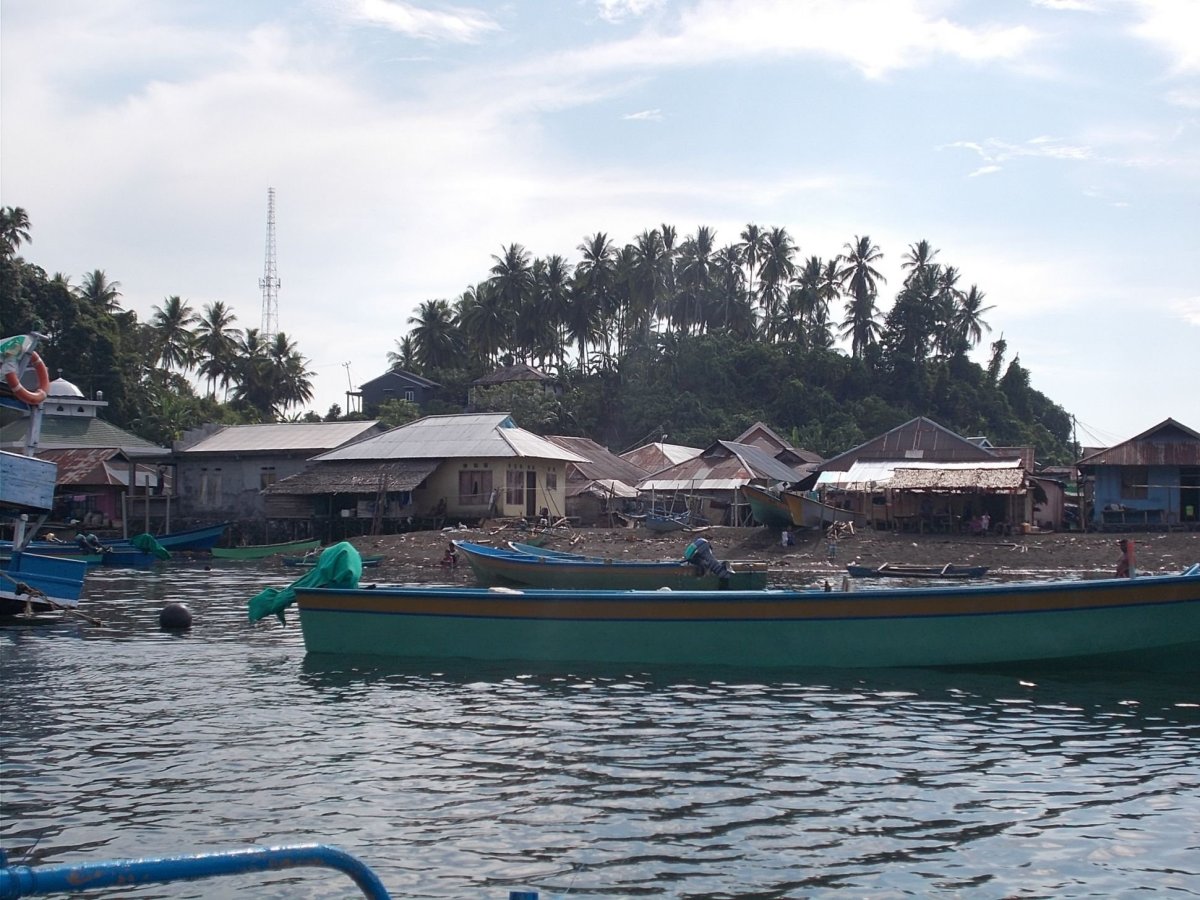 Civilizovanější část Bajo