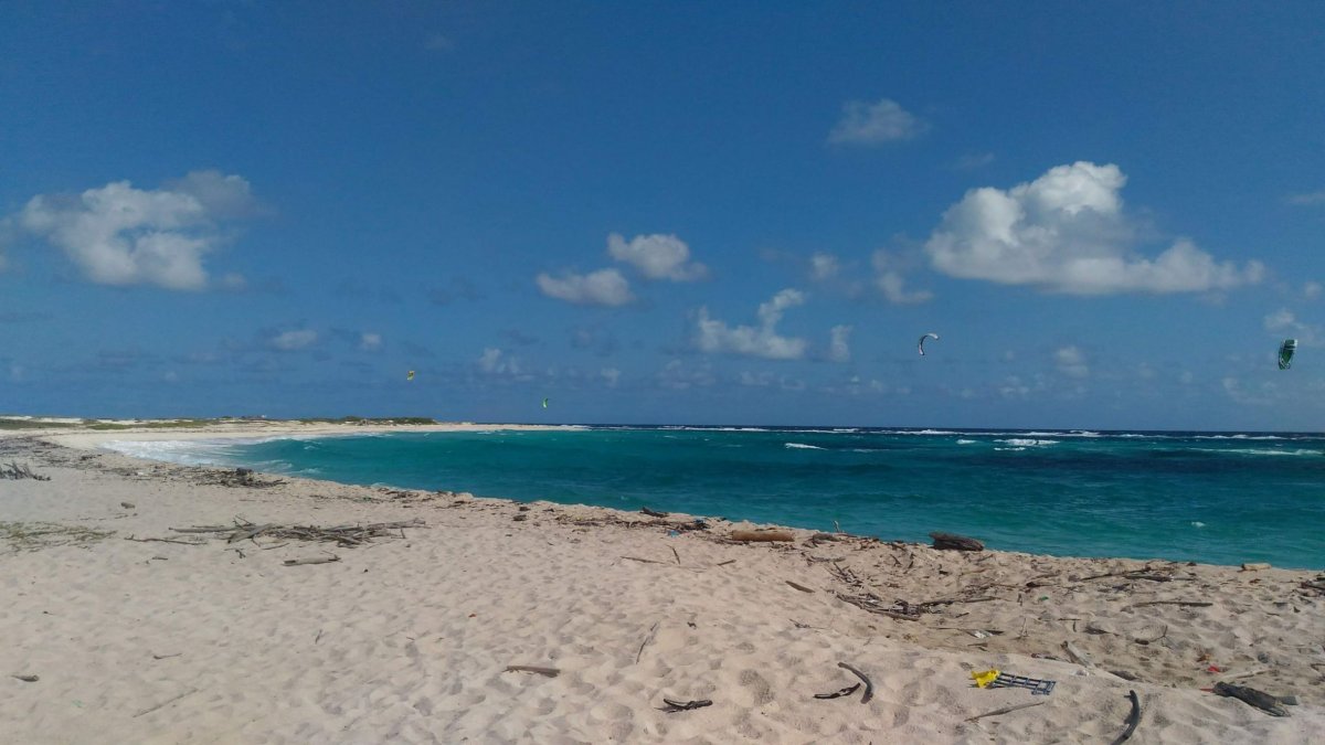 Boca Grandi na Grapefield beach