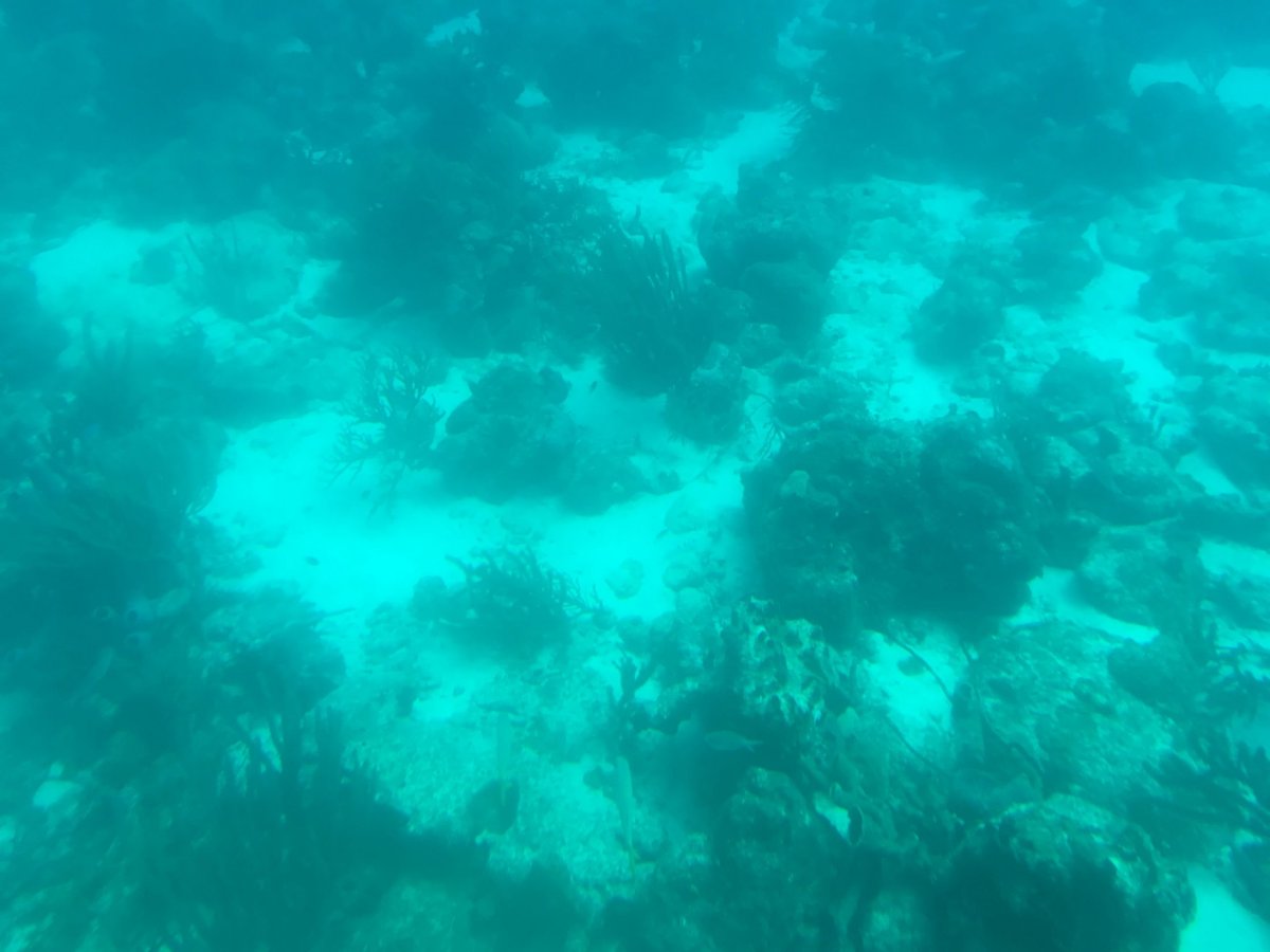 Ponorka Atlantis Submarine