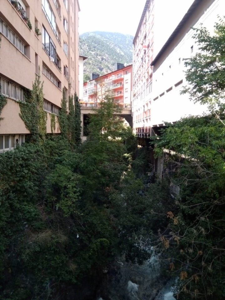 Potok i s menší džunglí. 