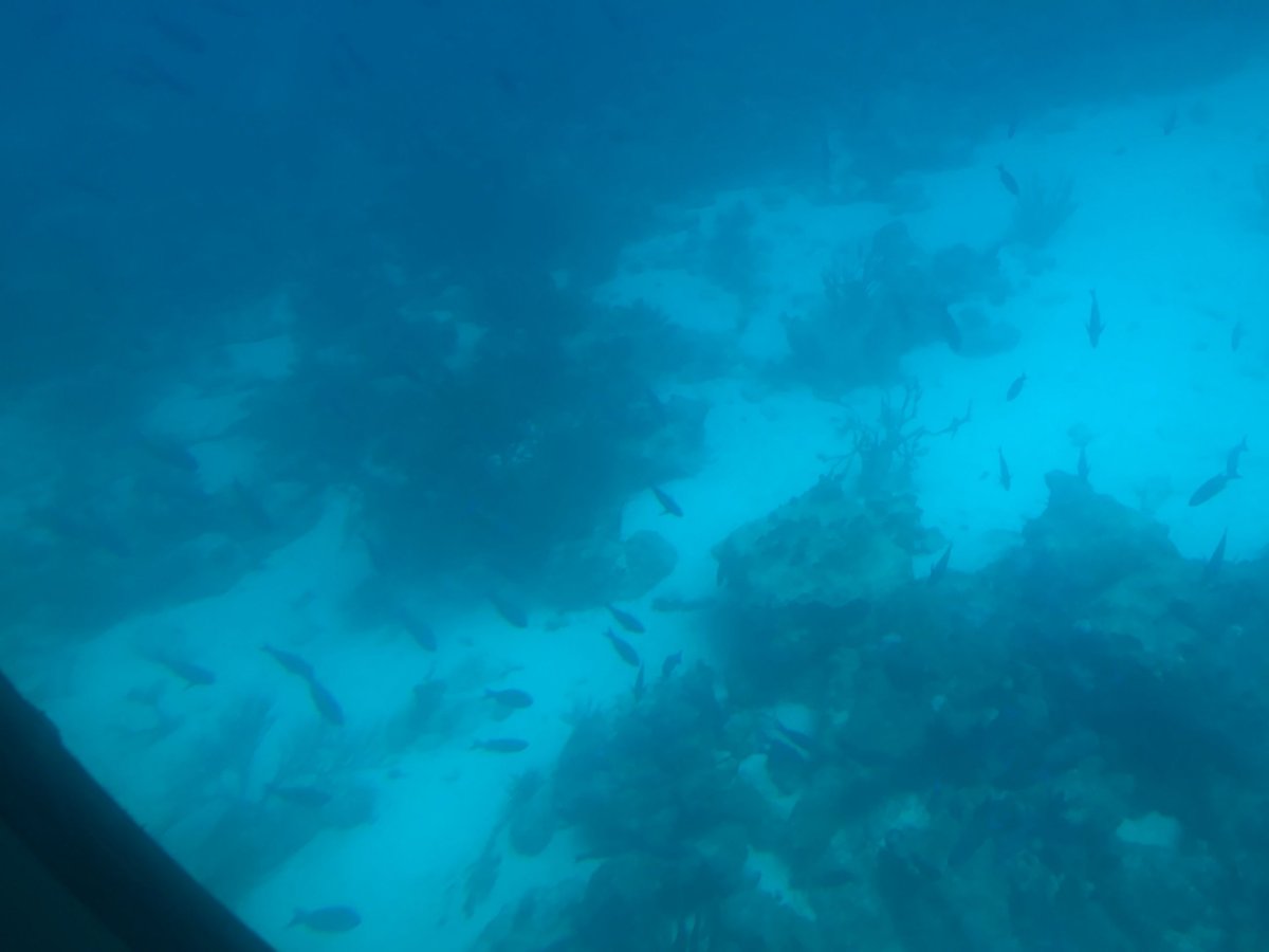 Ponorka Atlantis Submarine