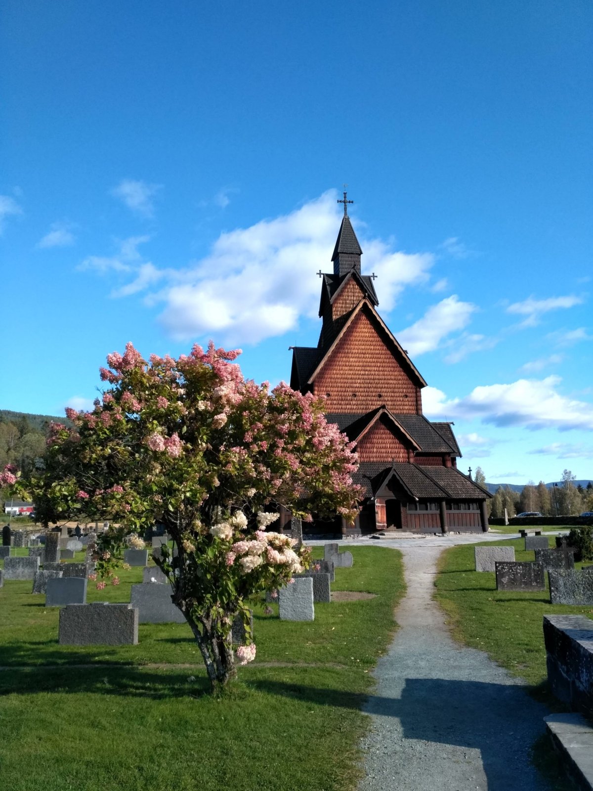 Kostel s keřem