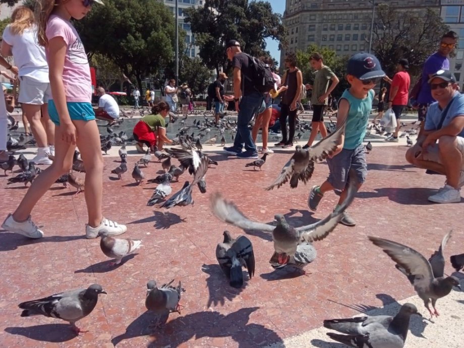 Na náměstí nás mimo jiné zarazilo i množství nebojácných holubů. 