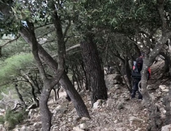 ... a vcházíme do lesa.