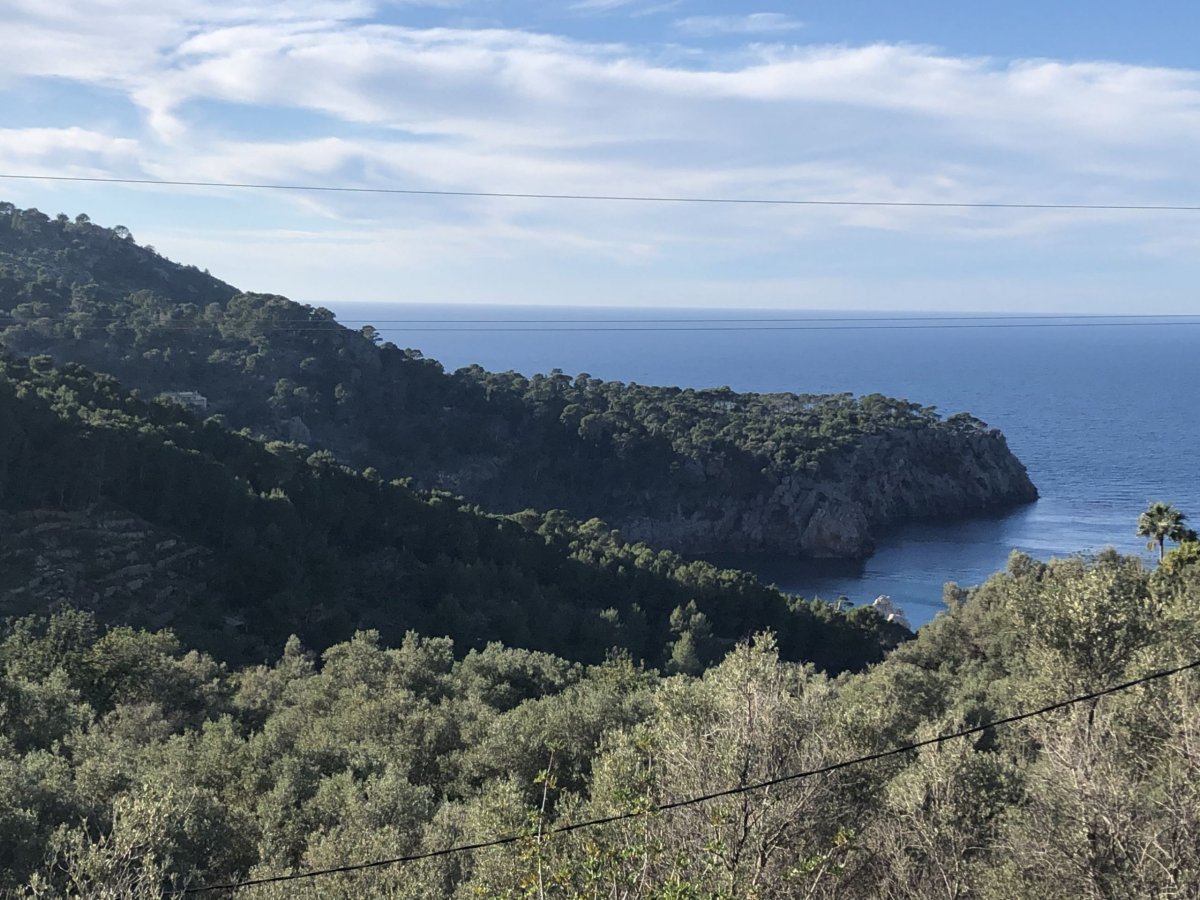 A zase krásně šajnilo:)