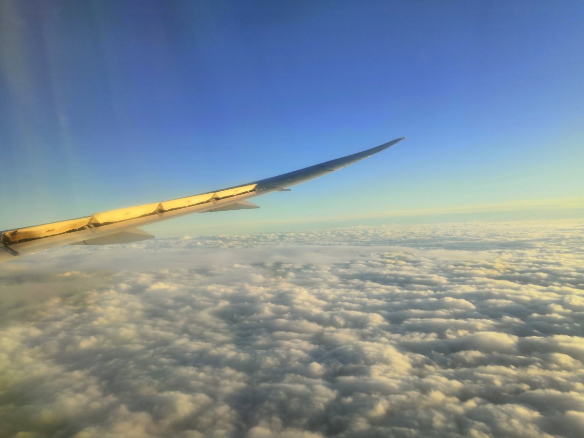 Klesání do Kodaně