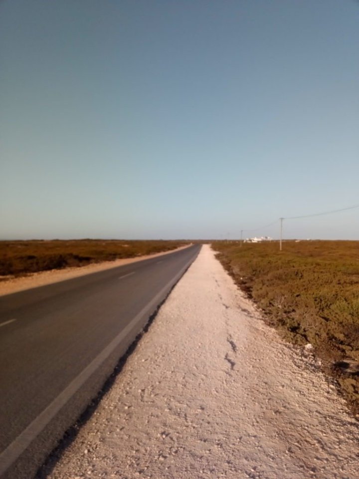 Takhle vypadá cesta kterou mám před sebou. 