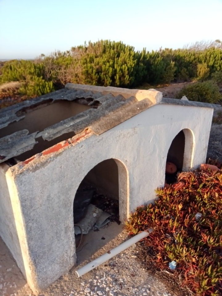 Psí bouda za restaurací.