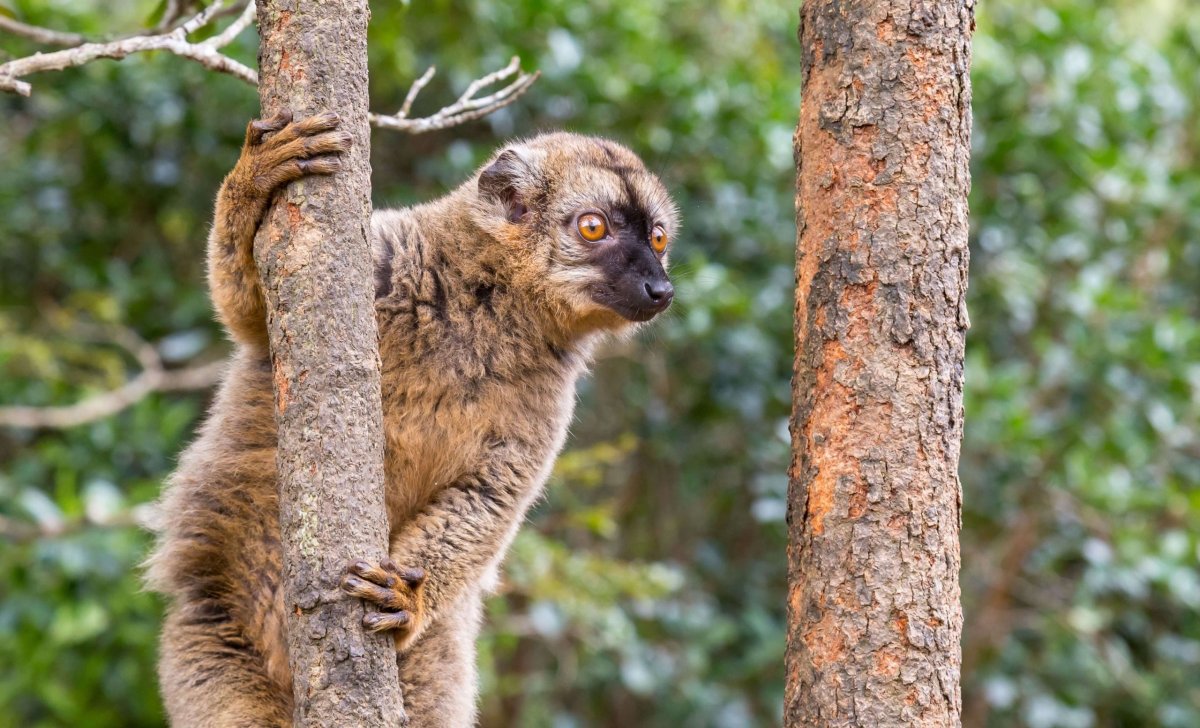 Mayotte