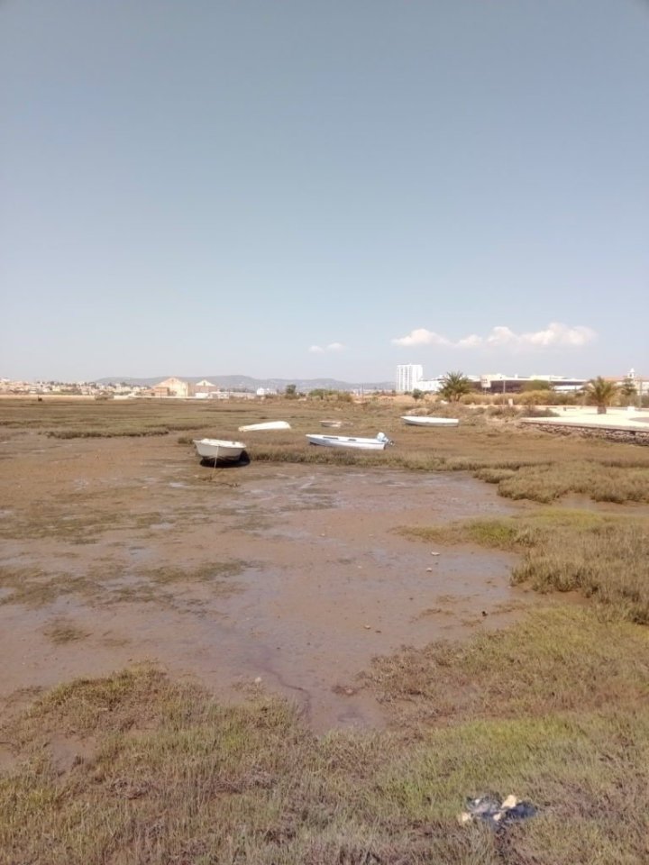 Takhle nějak si představuji apokalypsu. 🙂