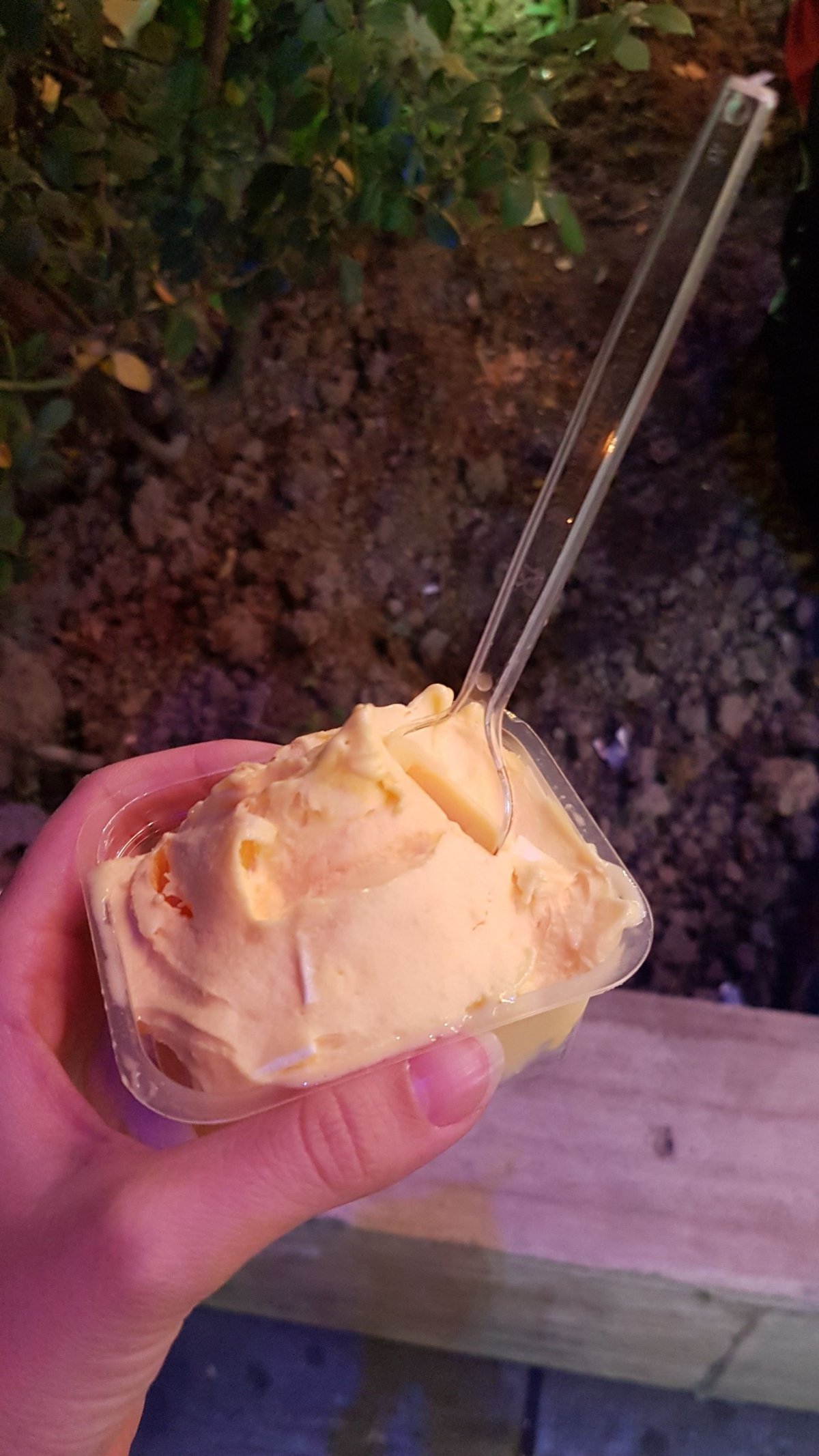 Šafránová zmrzlina to go.