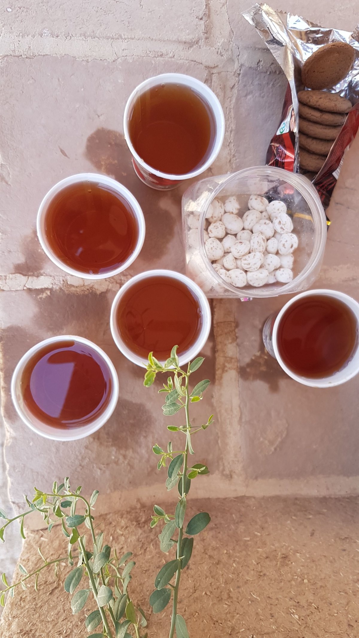 I náš řidič v Yazdu byl připraven a v kufru vozil termosku čaje, kelímky i růžový cukr.