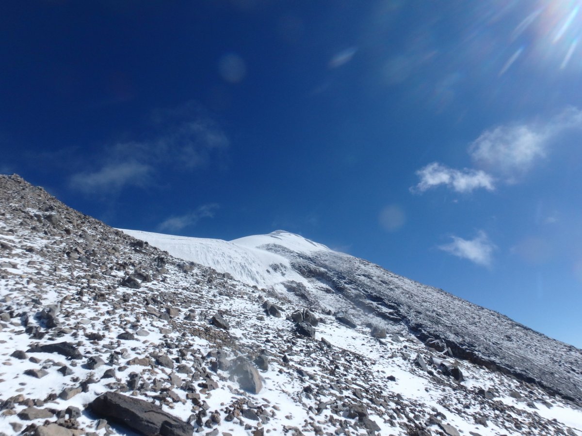 Cesotu bylo lehce pocukrováno