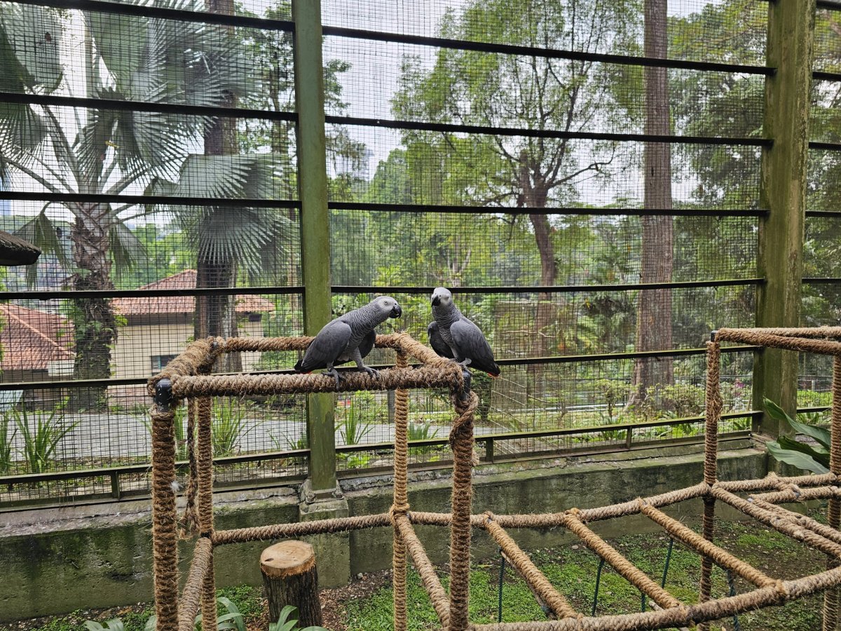 Bird Park
