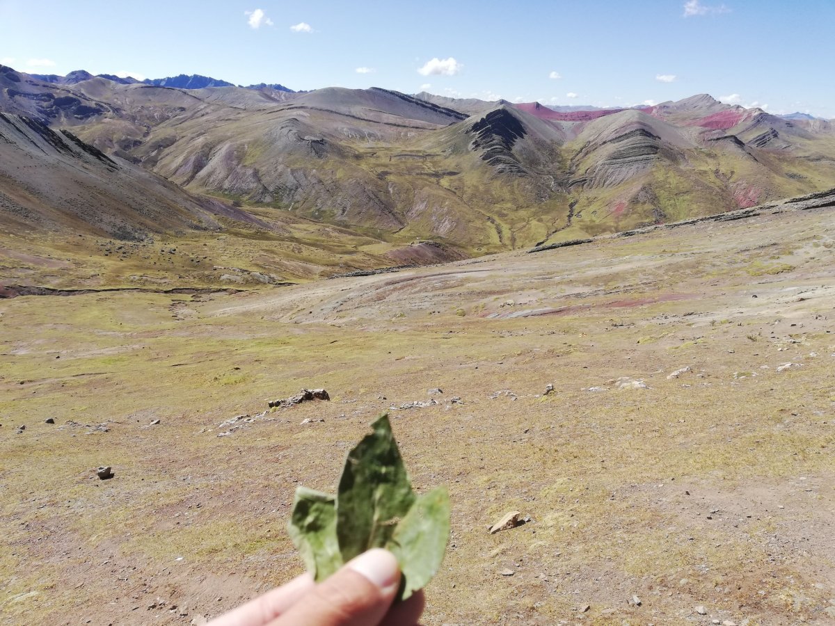 Rituál se třemi lístky koky