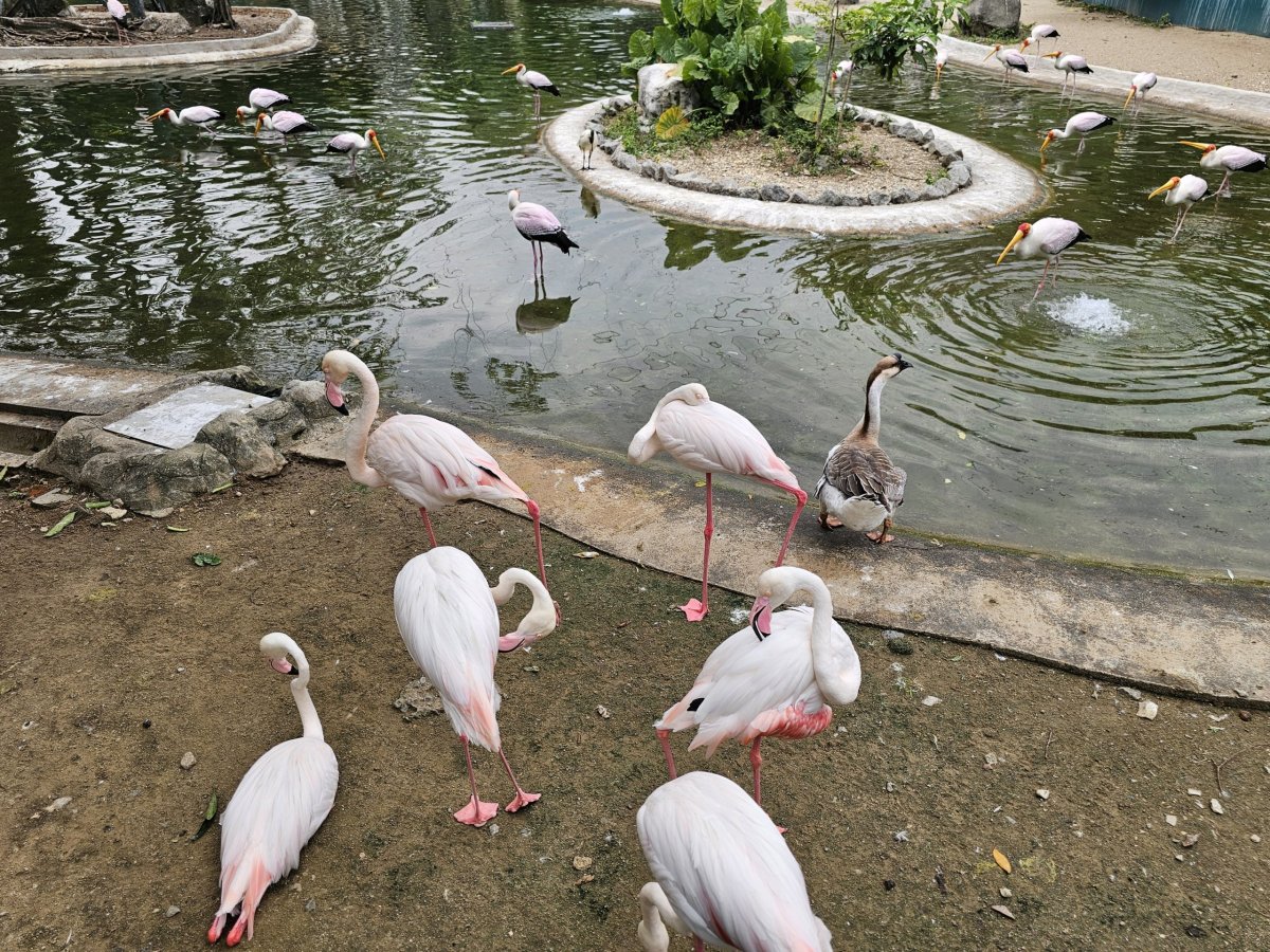 Bird Park