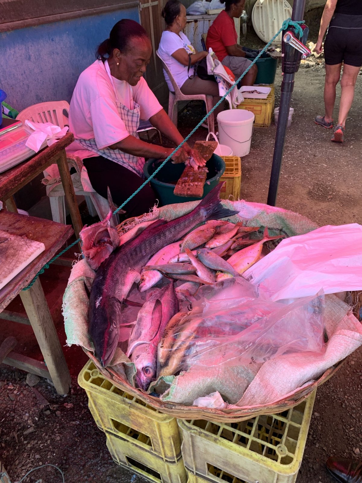 rybí trhy