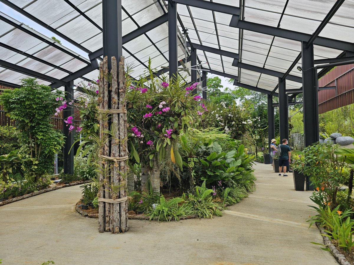 Orchidejová zahrada