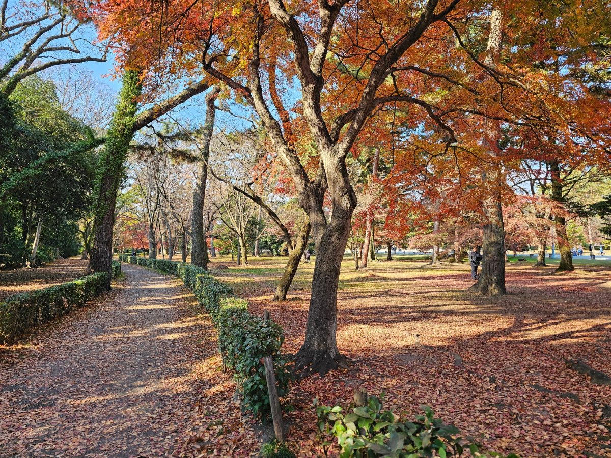 Kyoto Imperial Palace