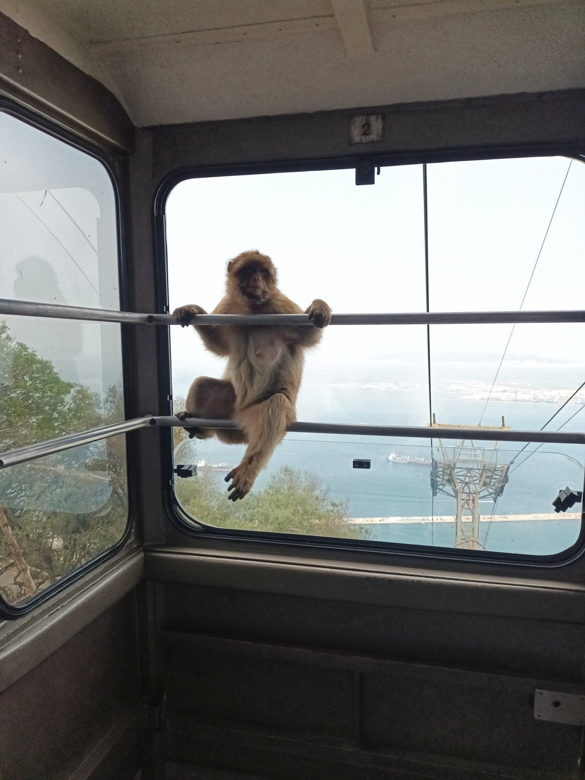 Opička jede s námi 🐵