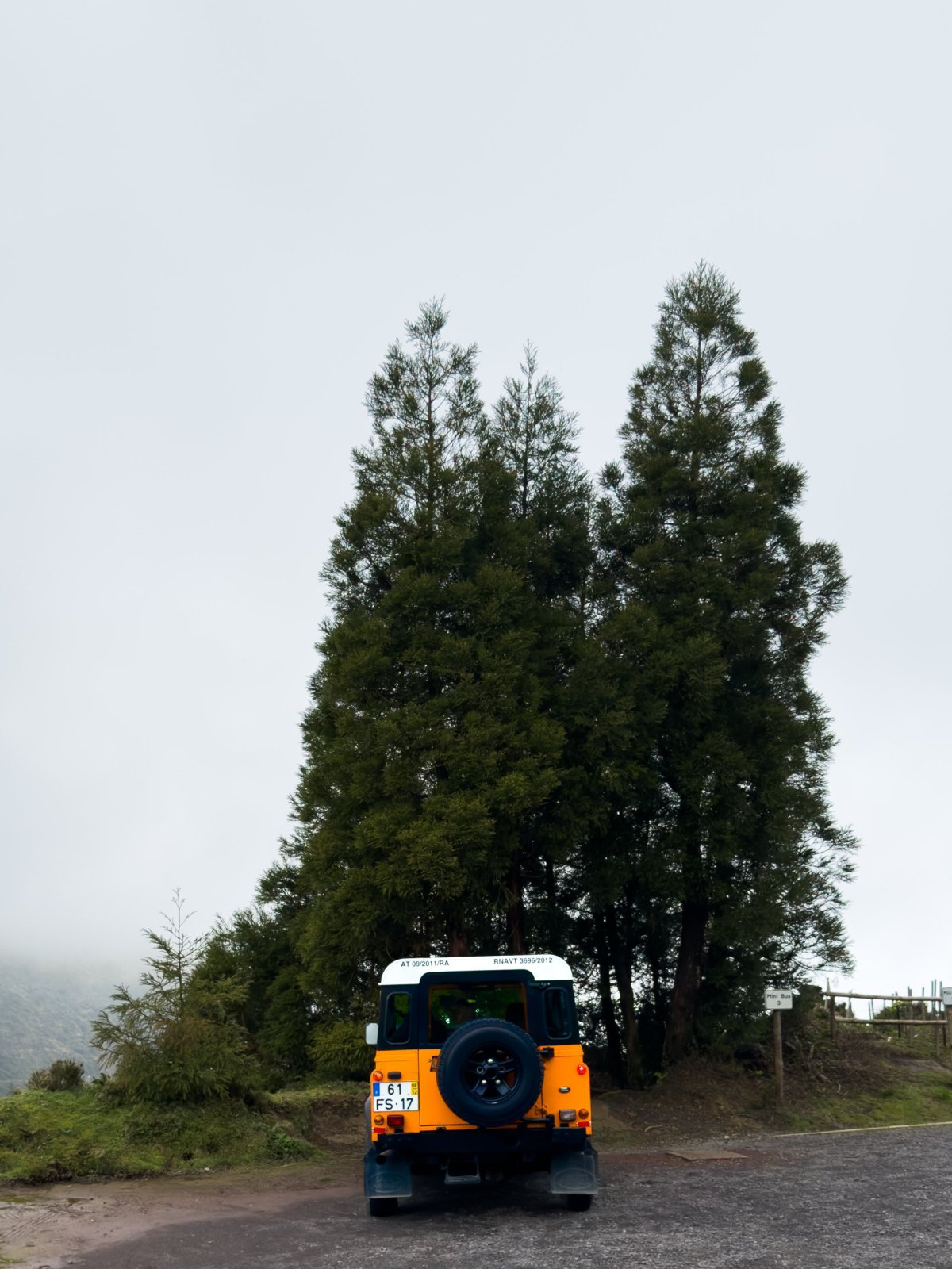 Jeep Tour