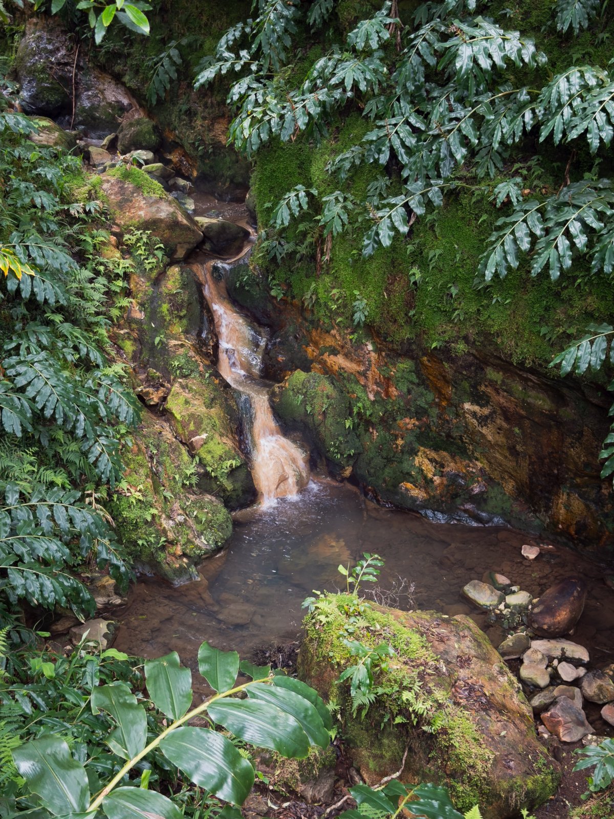 Centro de Interpretação Ambiental da Caldeira Velha