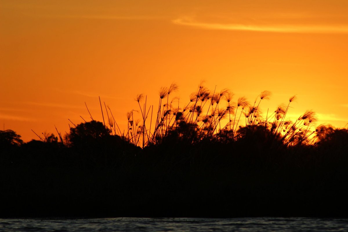 Západ slunce v Chobe