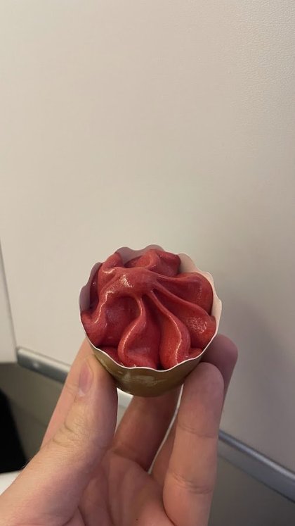 Na výběr byly asi 3 druhy zmrzlin a sorbetů