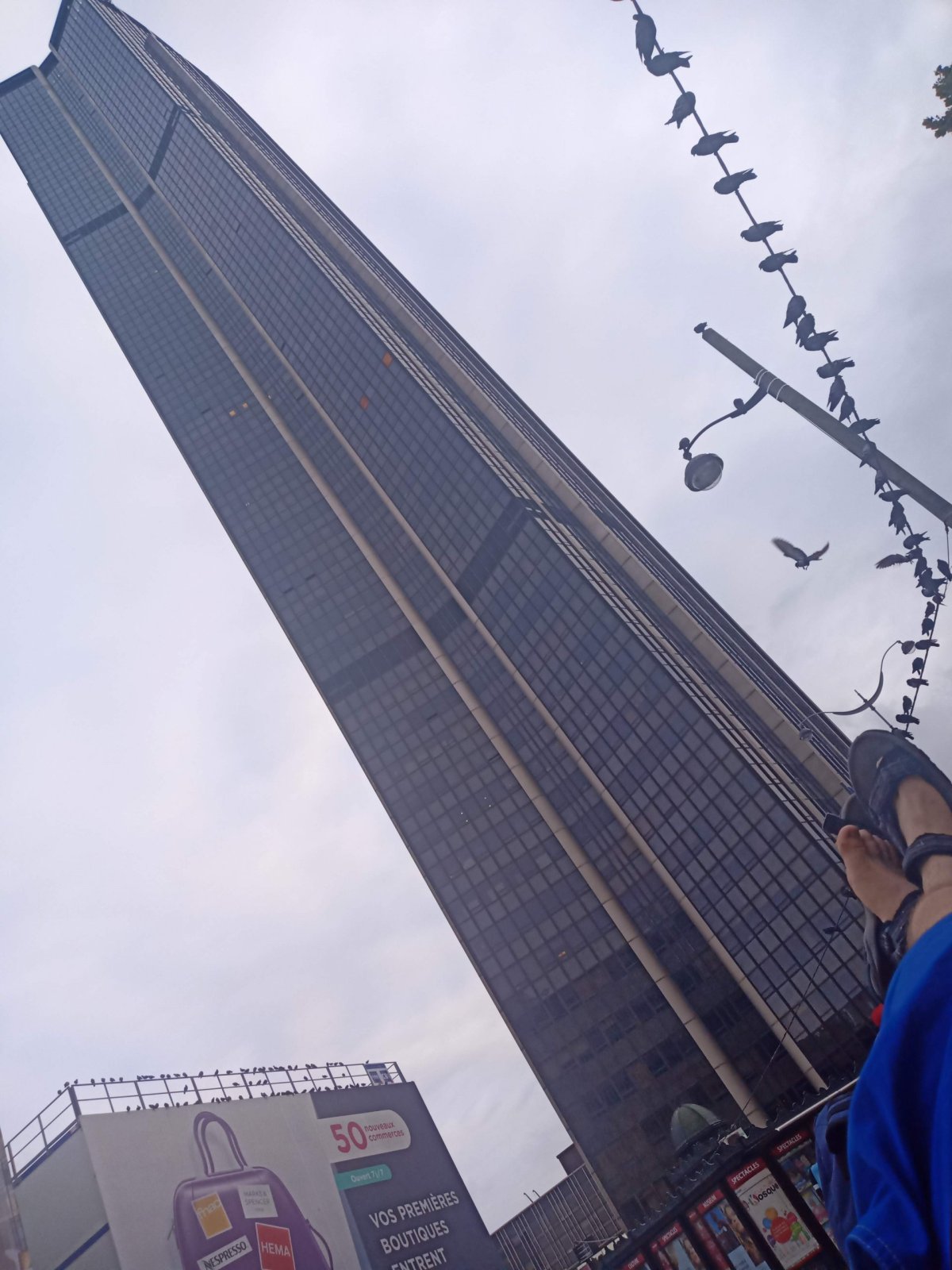 Montparnasse Tower (krmení holubů)
