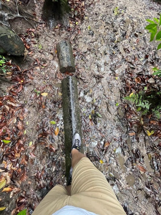 Já chtěl do zoo...!