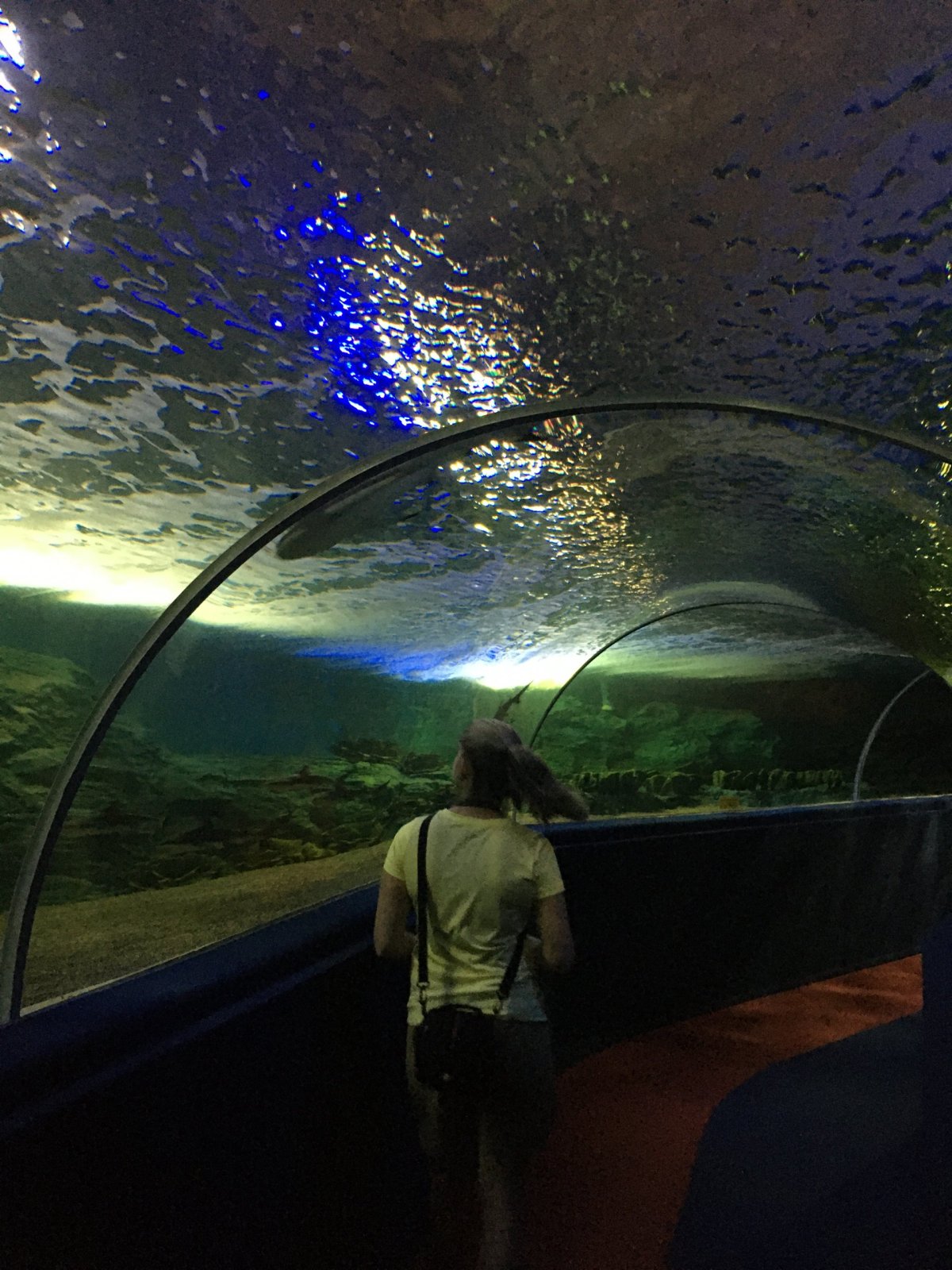 CHM ZOO Aquarium