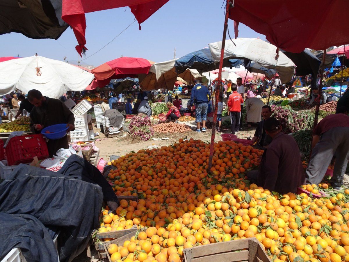 Nejvíce je tu vynikajících marockých pomerančů