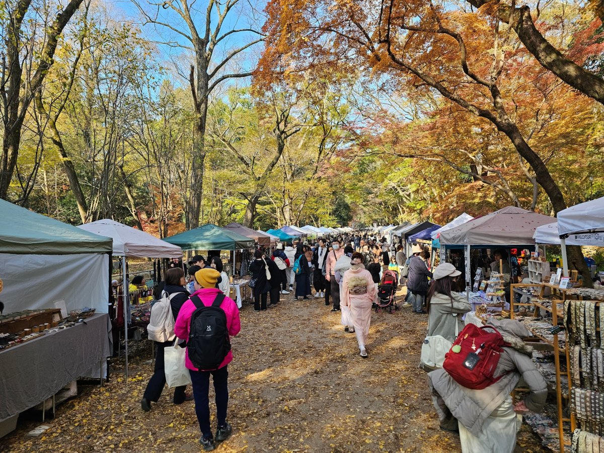 Cesta ke svatyni Shimogamo