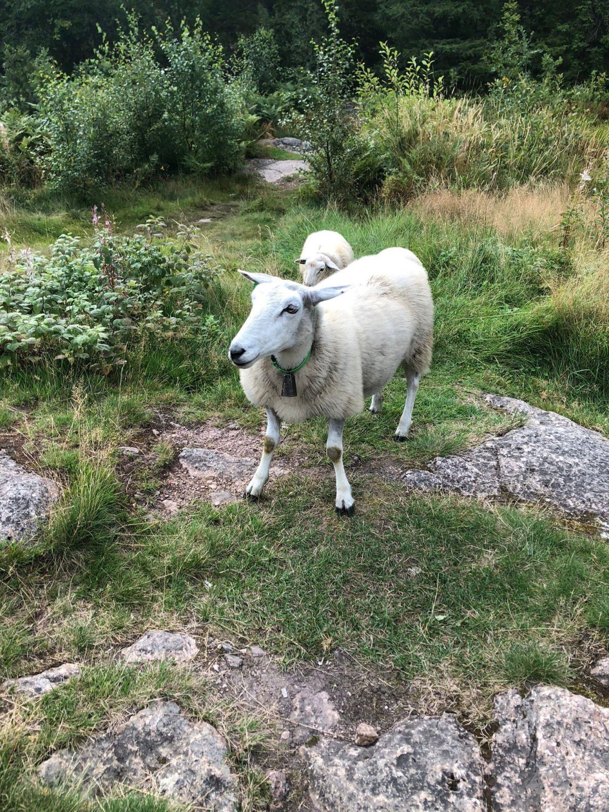 Takže dobré ráno!